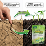 Enhances beneficial microbial activity, boosting long-term soil fertility and supporting sustainable agriculture.