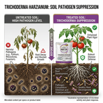 Trichoderma Harzianum biofertilizer that enhances soil microbial activity, improving nutrient availability and plant growth.