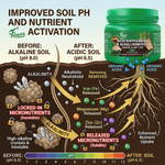 Unlocks essential nutrients like iron, zinc, and magnesium that are trapped in alkaline soil, improving plant health.