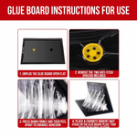mouse glue trap board placed along wall for chemical free rodent control

