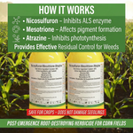 Herbicide combination ensuring effective post-emergence control of broadleaf and grassy weeds in corn.