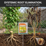 Targets and destroys woody and broadleaf weeds, including vines and shrubs, in open fields and non-crop environments.