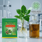 Ideal fertilizer for pothos, money plants, and leafy greens, enhancing leaf color and plant vitality