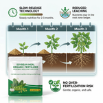Fermented soybean meal promotes root development, boosts plant vigor, and improves soil fertility for more resilient crops.