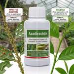 Organic Insecticide is perfect for controlling pests in vegetables, fruits, flowers, and trees, offering eco-friendly protection.