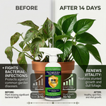Ideal for flowers like roses and geraniums, as well as garden vegetables like tomatoes and cucumbers, ensuring robust growth and protection