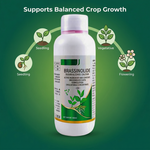 Epibrassinolide liquid supporting better fruit set and reducing flower drop in crops.