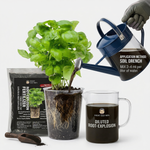 Bio-Activator for Root Growth that stimulates rapid root expansion, strengthening plant stability and enhancing soil health