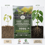 Potassium-based fertilizer enriched with Fulvic Acid, improving soil fertility and promoting healthy root systems.