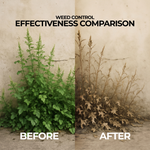High-concentration Glyphosate herbicide for controlling weeds in both agricultural fields and garden landscapes.