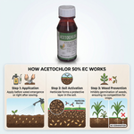 Acetochlor 50% EC providing effective pre-emergence weed management for various agricultural crops.