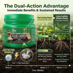 Enhances plant growth, stronger roots, and better flowering by adjusting soil pH and improving nutrient uptake.