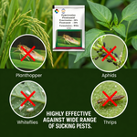 The combination of Flonicamid and Pymetrozine stops pests from feeding almost immediately, reducing crop damage