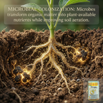 Restores soil fertility and enhances soil structure through the action of beneficial probiotic microorganisms.