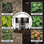 Encourages healthy root development, ensuring flowers in pots receive the nutrients needed for robust growth.