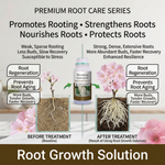 Applying Rooting & Bud Growth Liquid Fertilizer to stimulate robust root development in fruit trees and plants