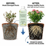Fertilizer for transplanting plants, ensuring smooth re-establishment of roots and quicker adaptation to new soil.