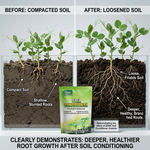 Neutralizes excess salts and restores soil balance, improving the condition of saline-alkali soils for better crop productivity.