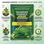 Visual showing the nutrient absorption process through the roots and leaves, improving plant metabolism and growth with Seaweed Amino Acid Fertilizer.
