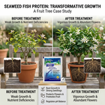 Clear instructions for applying Seaweed Fish Protein Micronutrient Fertilizer to support healthy root systems and promote vibrant flowers.