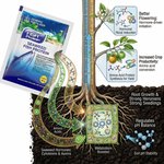 Fertilizer in action, promoting strong root development in plants and ensuring better nutrient uptake for overall growth.