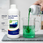 Seaweed-based foliar fertilizer that enhances fruit setting and improves overall crop yield and quality