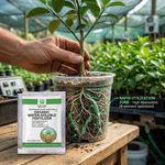 Seaweed-based foliar fertilizer that promotes strong root development and healthy growth in young plants and saplings.