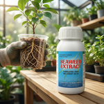 Water-soluble seaweed fertilizer that provides a quick nutrient boost for healthy plant growth and development.