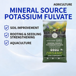 Healthy seedlings growing strong roots using potassium fertilizer with fulvic acid