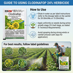 Effective herbicide solution for controlling grass weeds in wheat crops with Clodinafop-Propargyl 24% EC.