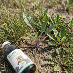 Easily dissolves in water, making it simple to mix and apply evenly for efficient weed management.