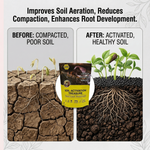Soil Activator Fertilizer supporting strong root development and healthier plant growth through improved soil structure