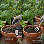 Soil Activator that loosens compacted soil, improving root penetration and water flow for flourishing flowers