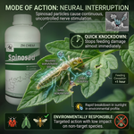 powerful insecticide that targets pests through both contact and ingestion, providing efficient and targeted pest control.