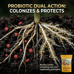Promotes strong root development, ensuring robust plant growth and better nutrient absorption