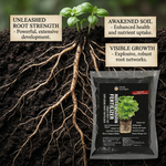 Helps plants recover from transplant shock, drought stress, and nutrient deficiencies, promoting healthy root development.