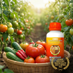 After proper formulation, Thiamethoxam 98% TC is suitable for a wide range of vegetables, fruits, and field crops.