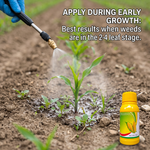Reduces weed competition during early corn growth, promoting healthier crop development and higher yield.
