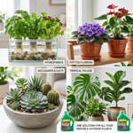 Provides essential macro and micronutrients to support robust growth in all types of indoor plants, including flowering and leafy varieties.