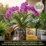 Uses Bacillus subtilis to naturally suppress harmful soil pathogens, protecting plants from root rot and fungal infections.