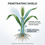 Dibenfenthianidin works by being absorbed into the plant’s system, providing continuous protection against aphid infestations.