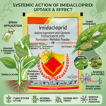 Imidacloprid 10% WP insecticide providing systemic protection against sucking pests in crops.
