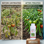 Bifenthrin offers contact action, while Thiamethoxam provides systemic protection, ensuring fast knockdown and long-lasting pest control.