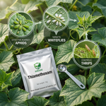 Thiamethoxam 70% WDG provides quick, long-lasting control of pests like aphids, whiteflies, and thrips in agricultural crops.