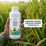 Effectively targets and controls bacterial pathogens responsible for rice leaf blight, ensuring healthier rice plants and better yields.