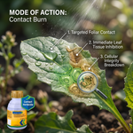 Suitable for directed spray applications in orchards and plantation crops without affecting main crops.