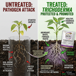 Ideal for organic and sustainable farming practices, this microbial biofertilizer supports healthy crops and environmental sustainability.