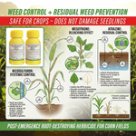 Powerful herbicide solution combining Nicosulfuron, Mesotrione, and Atrazine for post-emergence weed control in corn crops.