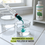 Applying Universal Concentrated Liquid Fertilizer to succulents like aloe vera, supporting healthy root development.