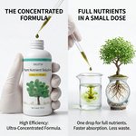 Universal Concentrated Liquid Fertilizer designed for succulents and flowering plants, promoting healthy growth and vibrant blooms.